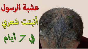 مكون أوصانا به النبي ﷺ ينبت ويمنع تساقط الشعر ويملأ الفراغات شاهد الطريقة الصحيحة للنساء والرجال youtube in 2021 grow hair beautiful women hair