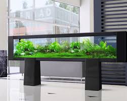 Pin De Shakeriali En Fish Tank En 2020 Acuario De Casa Acuarios Sorprendentes Stand De Acuario