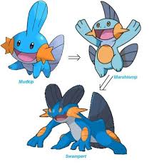 Mudkip Evolution Mudkip Pokemon Pokemon Starters