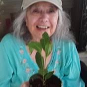 Roel Family Obituaries