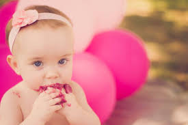 Wildflower Photography