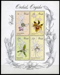 Image result for Eulophia fridericii