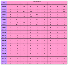 Yorkies Size Chart Goldenacresdogs Com