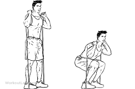 I prefer using a power or squat bar; Resistance Band Squats Resistance Band Squats Resistance Band Resitance Band Workout