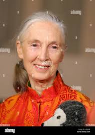 Jane francis hi-res stock photography and images