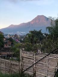 'mountain', 'cutent' and 'firefly', each of which has a distinctive plan and colour scheme. Oak Tree Glamping Resort Picture Of Oak Tree Glamping Resort Batu Tripadvisor