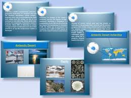 Lovepik.com provide 30+ powerpoint templates for you to download online, including dessert powerpoint template, dessert ppt download, dessert powerpoint slides, lovepik.com will make your work and life more efficiently! Arctic And Antarctic Animals Plants Interactive Powerpoint Presentation