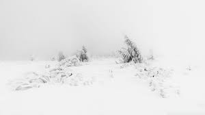 Download and use 10,000+ desktop wallpaper aesthetic stock photos for free. White Aesthetic 1920x1080 Wallpapers Top Free White Aesthetic 1920x1080 Backgrounds Wallpaperaccess