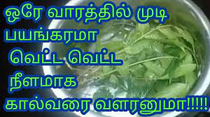 Hair growth tips in tamil to grow hair thick and long. Fasthair Growth In Tamil Home Remedy For Long Hair Best Hair Loss Remedy Quick Hair Growth In 1 Week Youtube