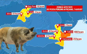 Se transmite direct prin contact, indirect prin furaje, apa, carne, insecte hematofage, vectori pasivi pot fi chiar si oamenii. Criza Pestei Porcine S A RÄƒspandit La Cultivatorii De Porumb Ordinul Dat De Daea Stirileprotv Ro
