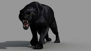 3d Black Panther Cat Black Panther Cat Panther Cat Panther