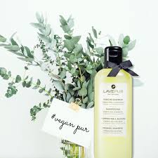 pin auf wasche shampoo