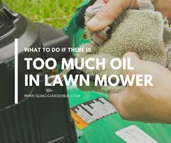 If it doesn't dissipate in five minutes, you will have to drain the oil manually. What To Do If There Is Too Much Oil In Lawn Mower Sumo Gardener