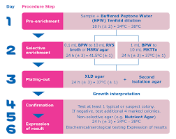 Salmonellosis is a symptomatic infection caused by bacteria of the salmonella type. Iso 6579 1 For Salmonella Detection In The Food Chain Sigma Aldrich