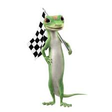 Последние твиты от aga giecko (@agagiecko). Geico Racing Geicoracing Twitter