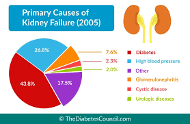 Chronic renal disease caused by glomerulonephritis with increased echogenicity and reduced cortical thickness. Diabetes And Renal Failure Everything You Need To Know