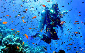 Mahatma Gandhi Marine National Park
