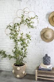 Instead of spending money to buy a trellis on the market, you can learn how to make a pea trellis by yourself. 6 Ways To Include Indoor Vines In Your Interior Indoor Vines Wall Trellis Indoor Trellis