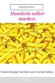 Hundeeis Selbst Gemacht Honig Bananeneis Fur Eure Hunde Midoggy Community Eis Fur Hunde Bananeneis Hunde