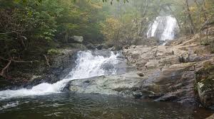 Whiteoak canyon trail shenandoah national park. A Waterfall Along The Way At White Oak Canyon Trail Shenandoah National Park Virginia Usa Imgur