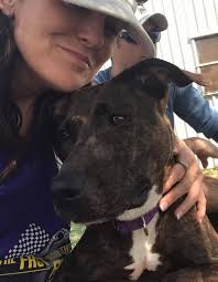 EDIT.... ADOPTED! Jada 🤩 Beaufort County NC Washington