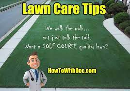 Lawn Care Tips Lawn Care Tips Lawn Care Business Lawn Care