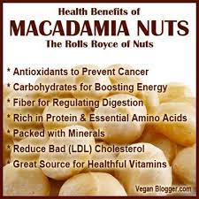Benefits Of Macadamia Nuts Raw Food Diet Raw Food Recipes Nuts Health Benefits