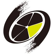 TTGO E-bike DE logo