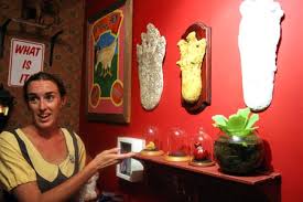 We did not find results for: Living With Monstrosities Jen Hirt And Scott Webel And Their Museum Of Natural And Artificial Ephemerata Arts The Austin Chronicle