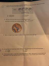 Maybe you would like to learn more about one of these? On Of A Single Cell That Has A Diploid Chromosome N Chegg Com
