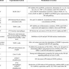 Pdf An Up Date Of Olive Oil Phenols In Inflammation And Cancer Molecular Mechanisms And Clinical Implications