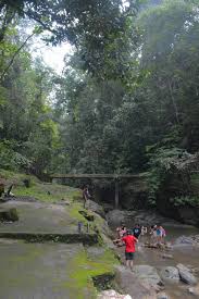 .bukit belacan, bukit belacan rimba cafe poco2 vs dangdut terlampau, 20121216 130356, bukit belacan mp4 youtube, senawang kl 15 minit, marshello allone, bukit belacan kick, bukitsaga, bukit belacan jumper, ride to bukit belacan, cipisan hikers bukit saga, penampakan hantu di hutan lipur. Taman Rimba Templer Portal Rasmi Majlis Perbandaran Selayang Mps