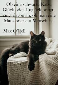 Spruche Und Zitate Uber Katzen Teil 1 Gutscheinspruch De