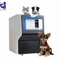 High Quality XP-300 Automated Hematology Analyzer ready to ship