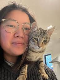 Adopting a cat from humane society