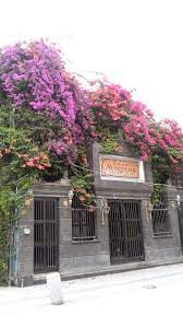 Casa Morelos Barrio Antiguo Monterrey Nuevo Leon Mexico Fotos De Mexico Mexico Lindo Mexico