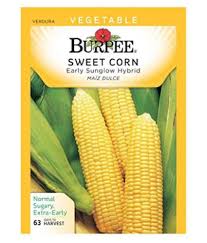 Feb 11, 2020 · @alwaysclau: American Sweet Corn Seeds 1 Kg Hybrid Seeds 2500 Seeds Buy American Sweet Corn Seeds 1 Kg Hybrid Seeds 2500 Seeds Online At Low Price Snapdeal