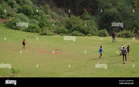 Vayal hi-res stock photography and images - Alamy