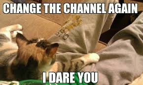 Cats In Charge Meme By Timalmeter Memedroid