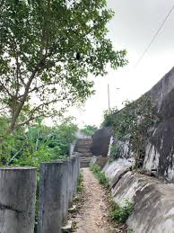 Morning 1.5 hours leisure hike at bukit gasing on 22 july 2020 thru hindu temple trail. Temple Trail Bukit Gasing Hike Petaling Jaya Selangor Malaysia Pacer