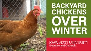 Image result for remove  Backyard Chickens account