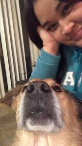 Missing dog running down Hartzel Road