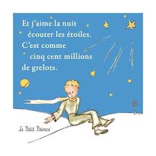 Citation Zen Du Jour Le Petit Prince Le Petit Prince Citation Proverbes Et Citations