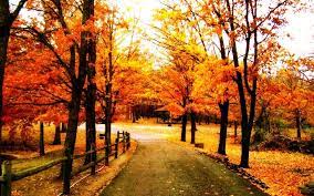 Beautiful Autumn Wallpaper Autumn Scenery Nature Pictures Beautiful Nature