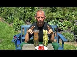 Weidenwasser Herstellen Und Nutzliche Informationen Fur Bonsai Und Stecklinge Youtube Stecklinge Rosenstecklinge Rose Vermehren