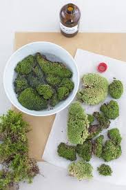 Aus alten dosen, wäscheklammern und küchenutensilien lassen. Diy Moosbilder Und Wie Du Ganz Einfach Waldmoos Selber Konservierst