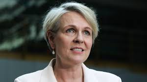 Nonsense': Environment Minister Tanya Plibersek hits back at Regis over  claims gold mine project would take five to 10 years to be redesigned