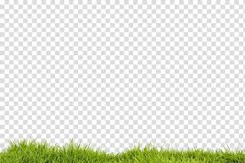Green Grass Desktop Portable Network Graphics Picsart Studio Editing Cb Edit Background Transparent Background Png Clipart Hiclipart