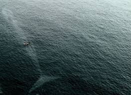 If You Weren T Already Scared Of The Ocean You Will Be After Seeing These 20 Disturbing Photos Scary Ocean Ocean Pictures Sea Life Creatures