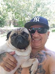 Wakey wakey everybody. #JingleThePug is still in her pajamas 🐶🐾